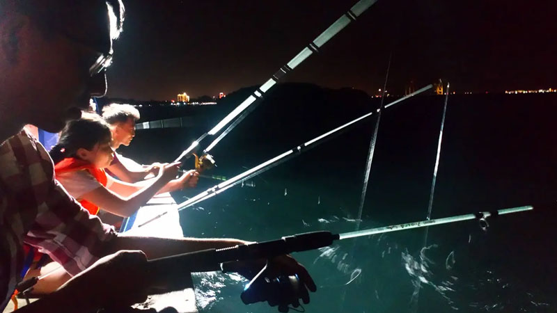 Câu Mực Cát Bà Buổi Tối Trên Vịnh Lan Hạ Cát Bà