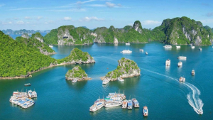 Tour Khám Phá Vịnh Lan Hạ Tàu Hồng Vân - Cát Bà 1 Ngày