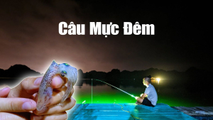 Tour Chèo Ngắm Lân Tinh Và Câu Mực Đêm Tại Cát Bà ( Tàu Royal Lotus Cruises )