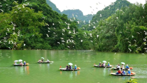 VƯỜN CHIM THUNG NHAM 1 NGÀY
