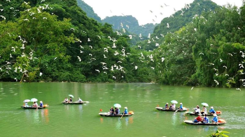 VƯỜN CHIM THUNG NHAM 1 NGÀY